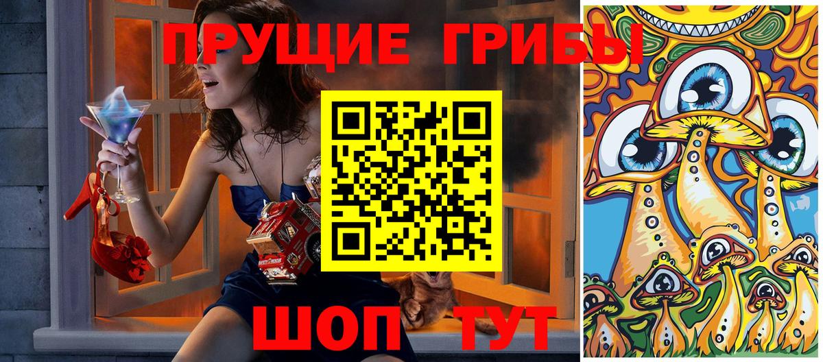 Санкт-Петербург  Псилоцибиновые грибы Psilocybine cubensis  Псилоцибиновые грибы мухоморы  Вход с VPN 