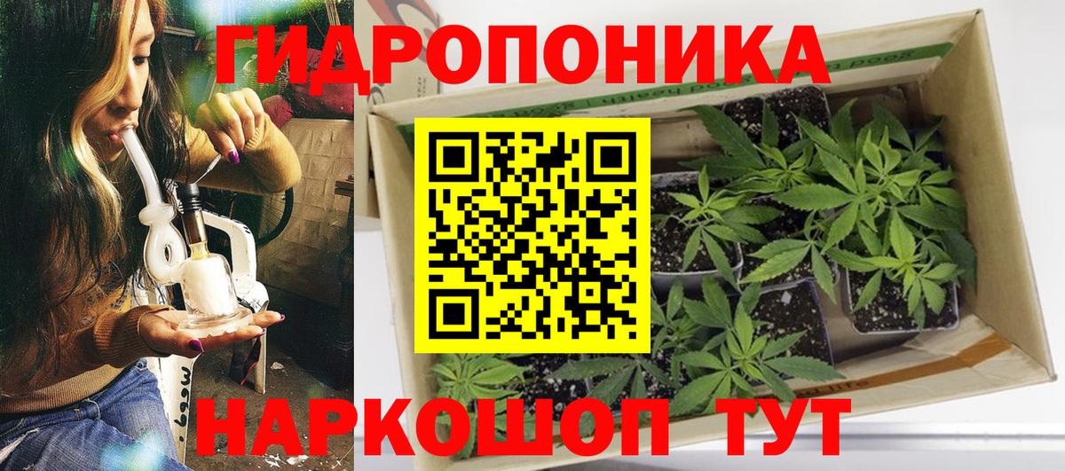 Бошки марихуана SATIVA & INDICA Санкт-Петербург